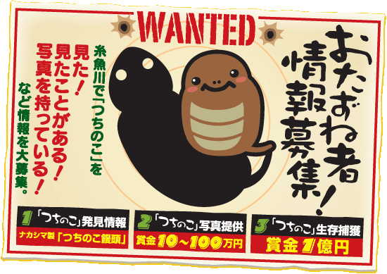 探すぞ！つちのこ つちのこ探検隊 | 公募/コンテスト/コンペ情報
