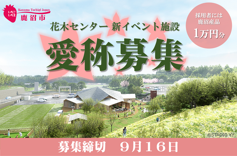 新條まゆ30th展が4月開幕、LDH協力の没入型漫画展覧会 | 公募