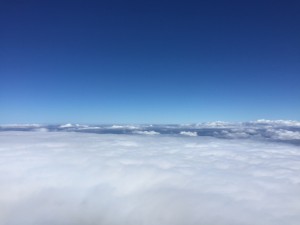 IMG_4914