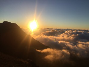 IMG_4927