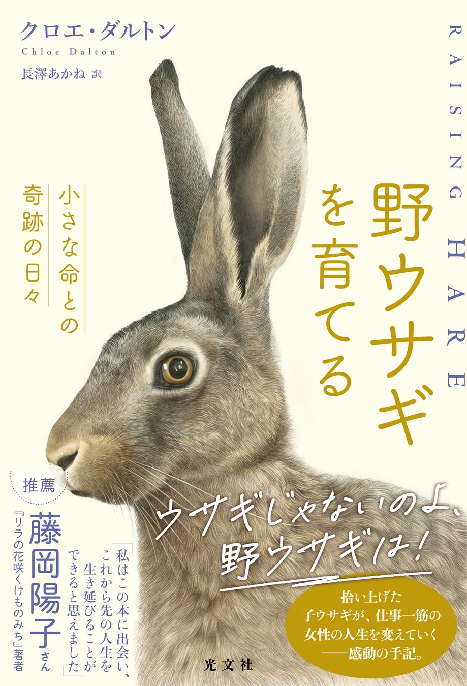 世界23か国翻訳『野ウサギを育てる』光文社から9月25日発売 | 公募