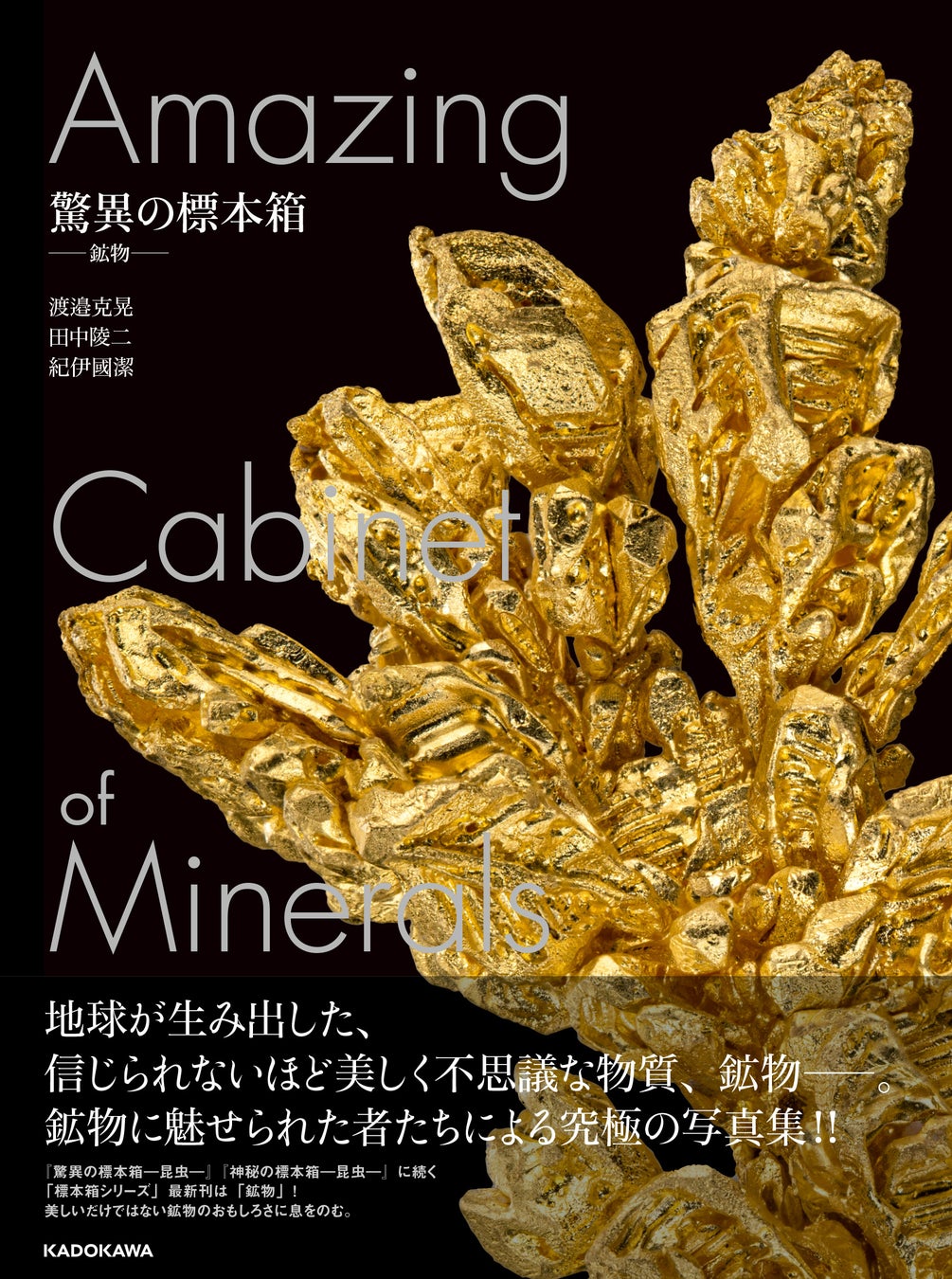 地球が生んだ奇跡の美！鉱物の超絶美麗写真集『驚異の標本箱 ‐鉱物