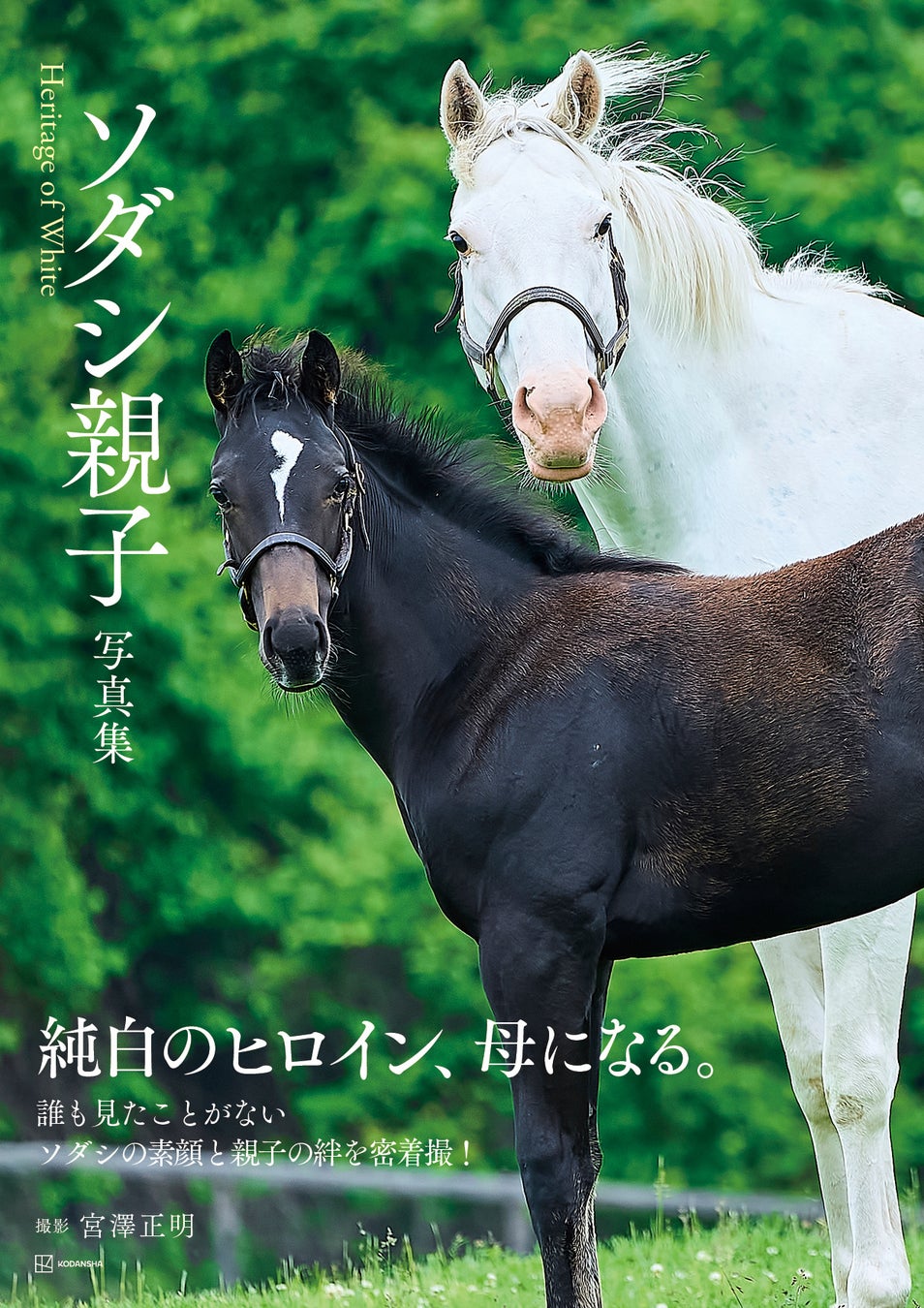白毛の女王ソダシが母に！イクイノックスの仔馬出産、親子写真集が発売