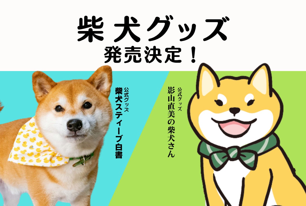 柴犬の日に新グッズ登場！しっかり楽しむ推し活ライフ