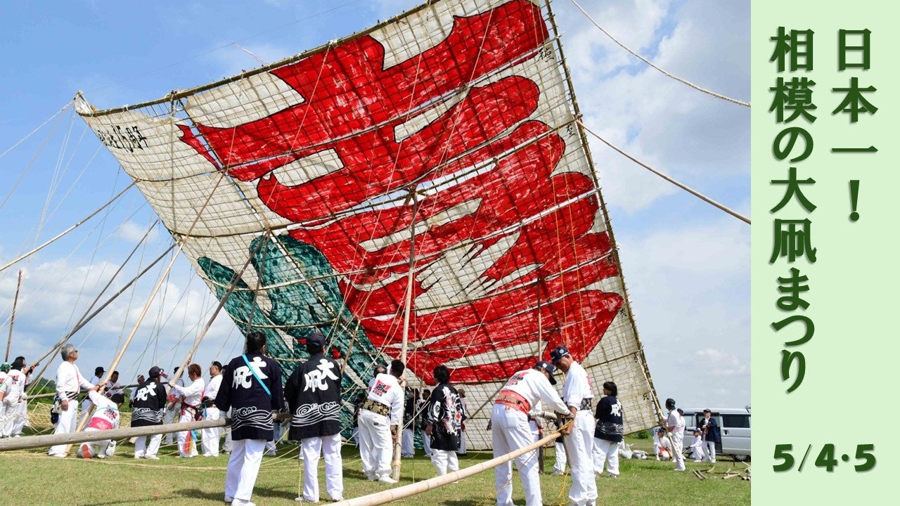 日本一の大きさ！相模の大凧まつり5月開催、14.5m四方の巨大凧が空に