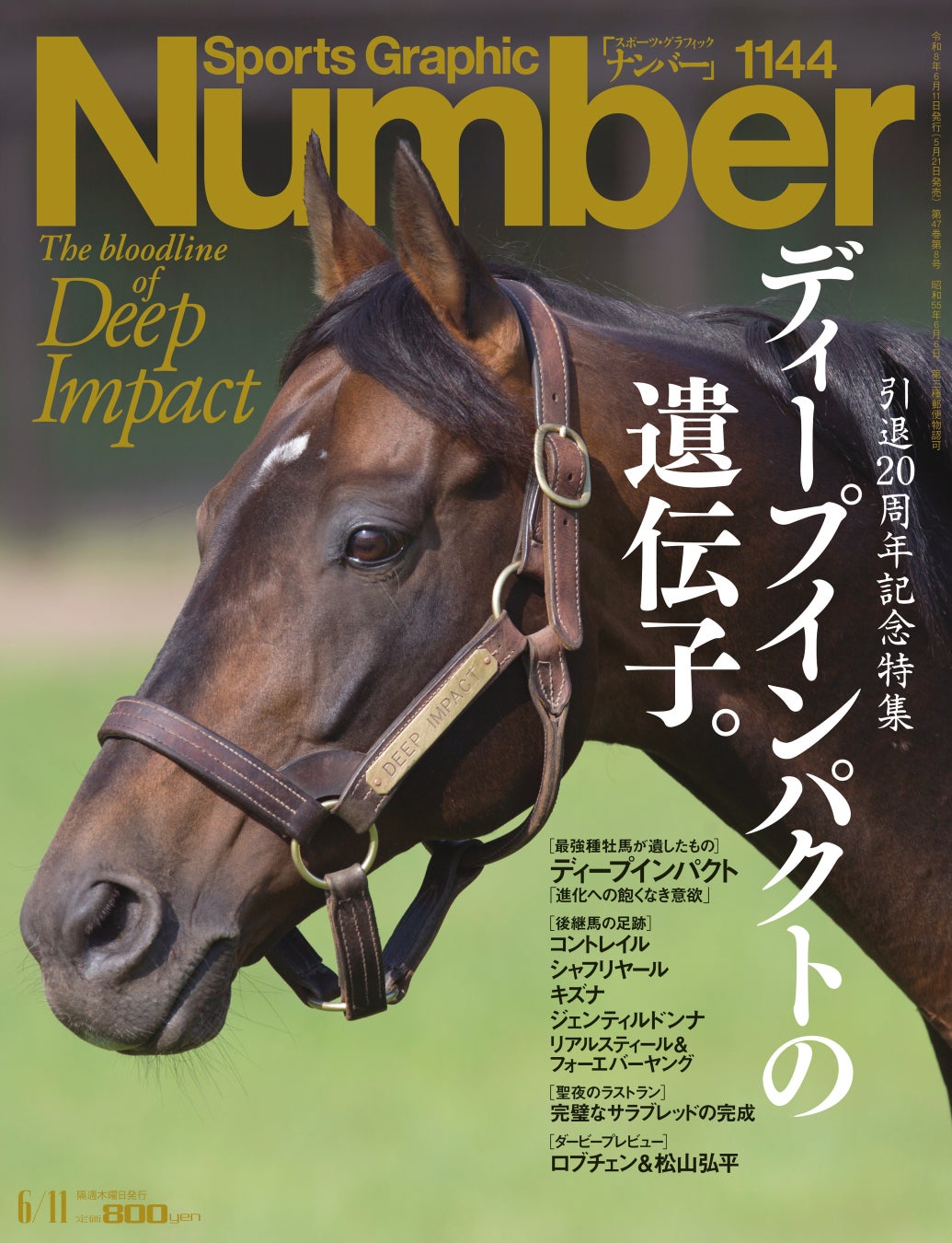 今日限定タグ付きアバンティー製Sサイズディープインパクト引退有馬記念モデル ディープインパクト引退20周年記念 Number1144号が5月21日発売 | 公募