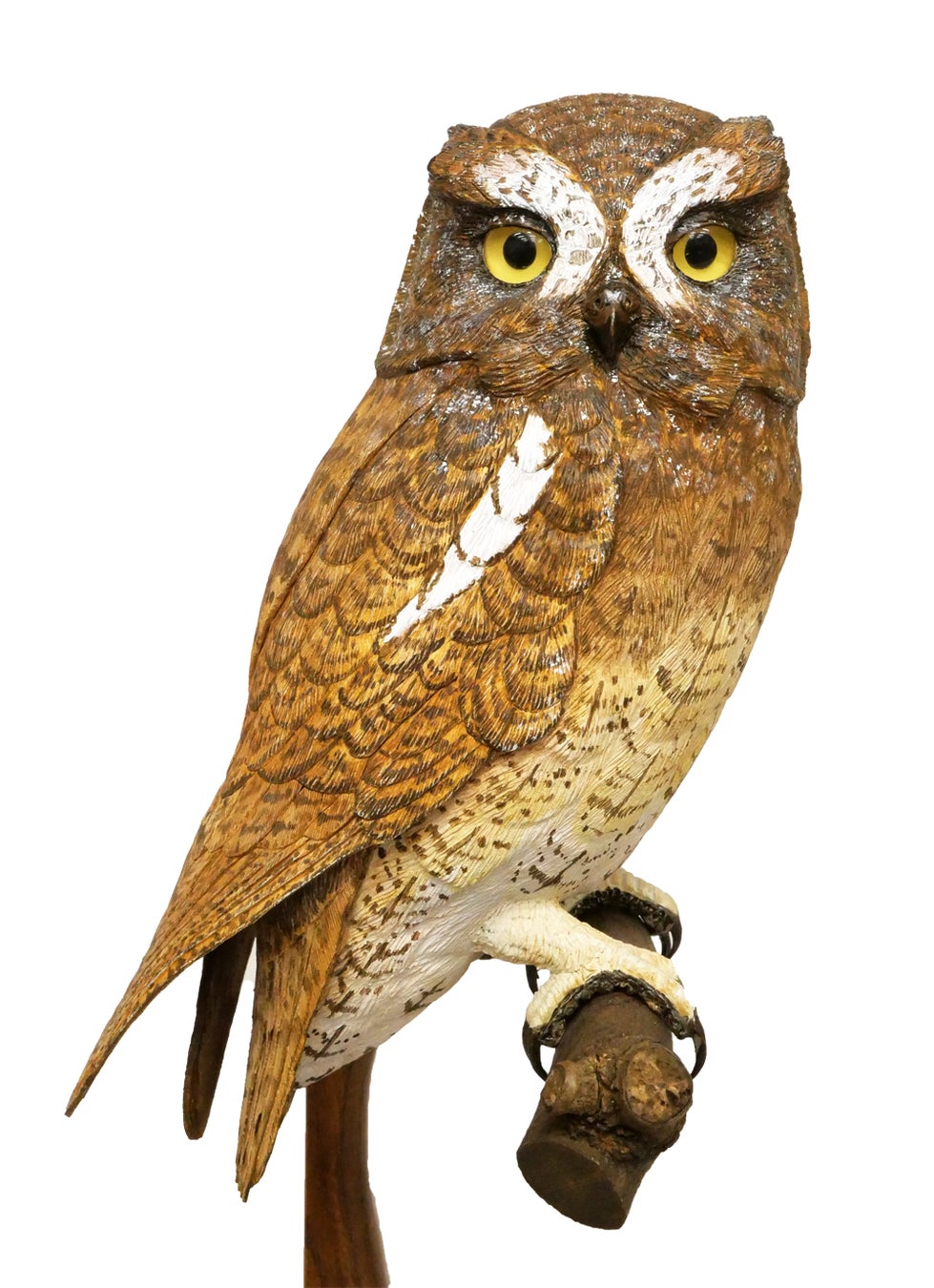 本物そっくり！バードカービング200点と野鳥が見られる愛知県半田市の