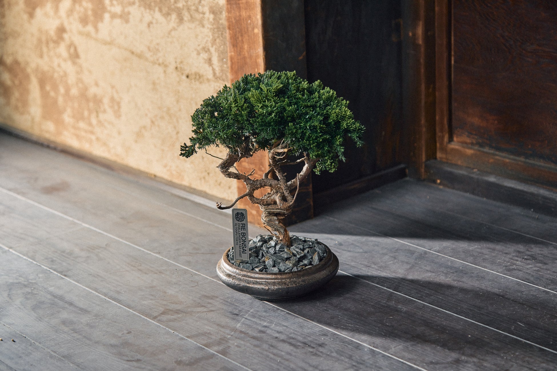 枯れた盆栽がアートに変身、RE BONSAI™が阪急メンズ東京で期間限定