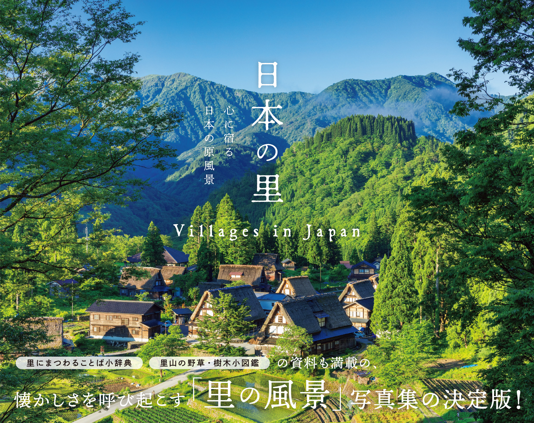 日本の原風景を追った写真集『日本の里』が登場。里山の野草図鑑や伝統
