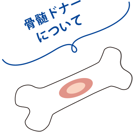 骨髄ドナーについて